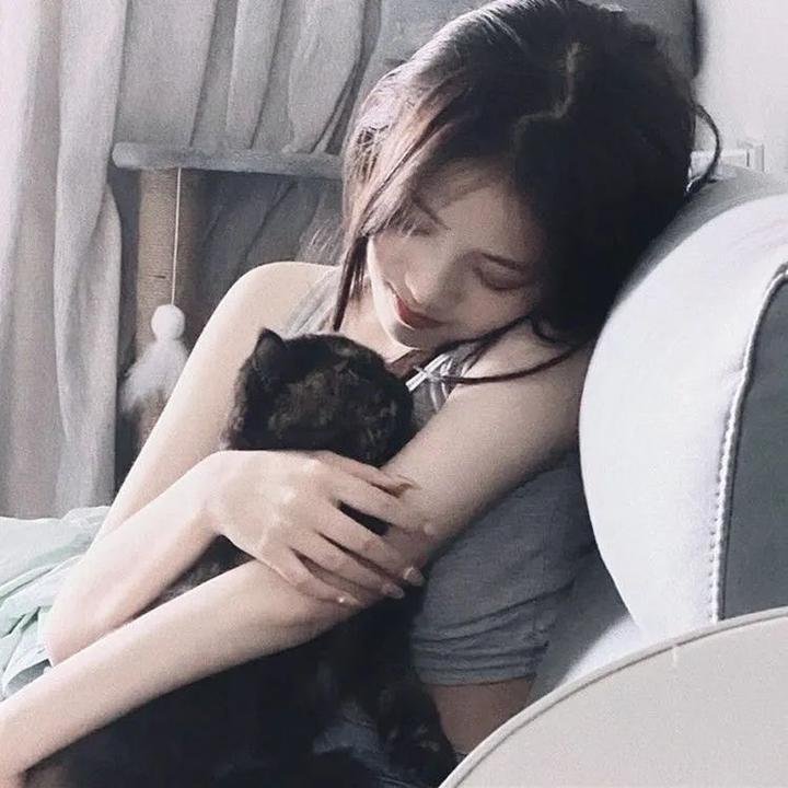 炮打双灯 海报